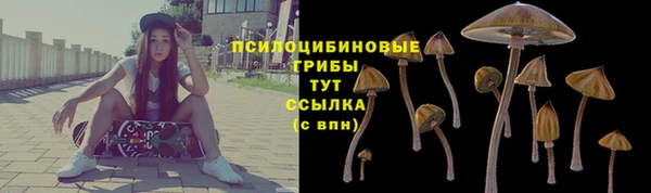 каннабис Алексеевка