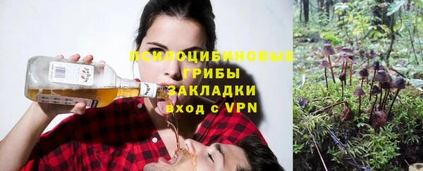 не бодяженный Инсар
