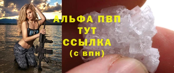 спайс Инта